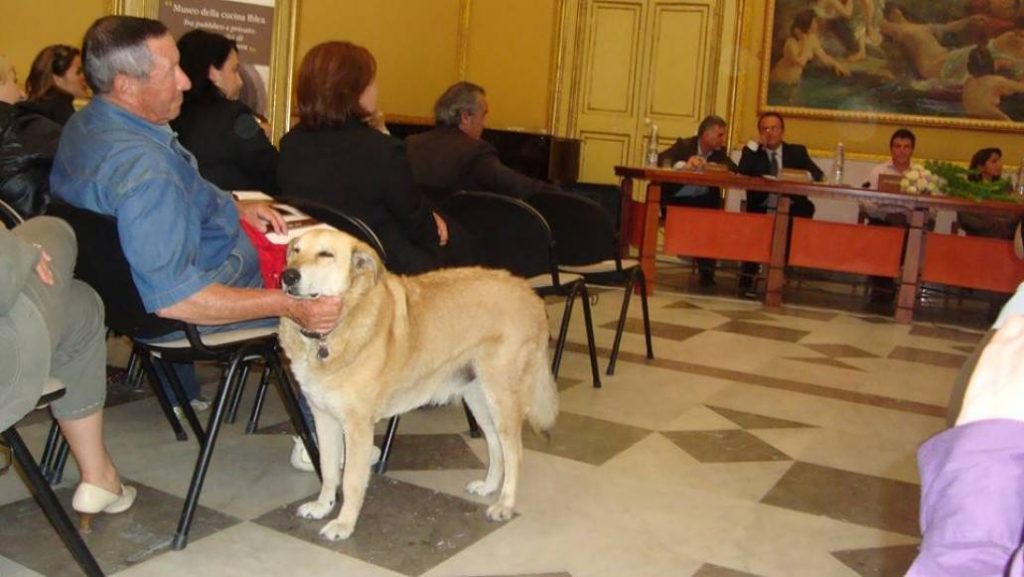Italo Barocco