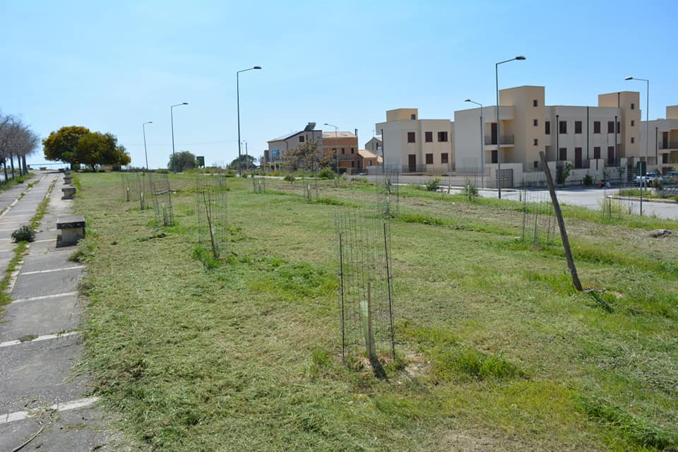 parco via Vitaliano Brancati (foto Rimboschiamo)